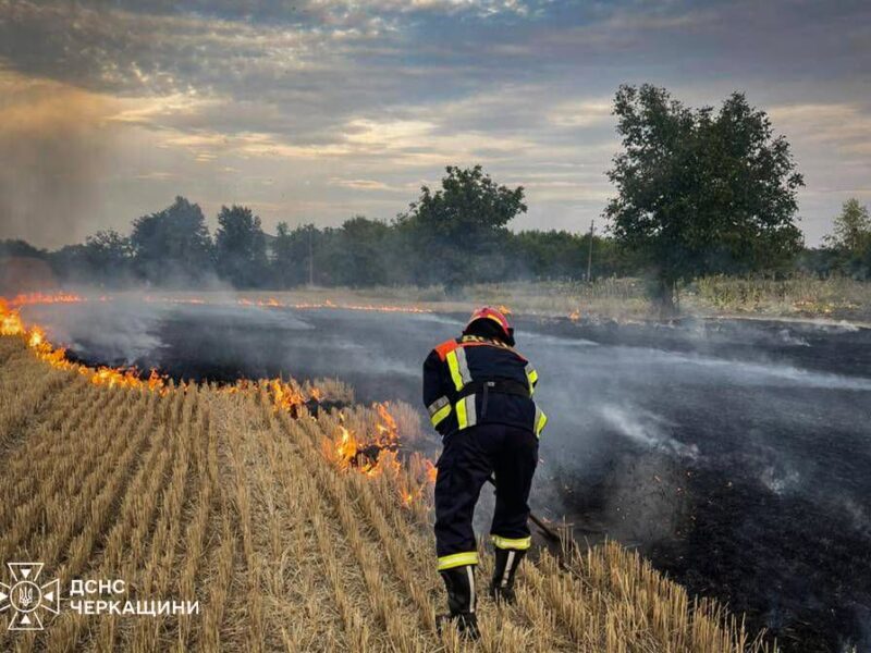 На Черкащині за минулу добу зафіксовано 25 пожеж