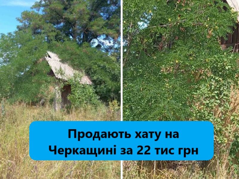 На Черкащині виставили на продаж житловий будинок ціною в 22 тис грн