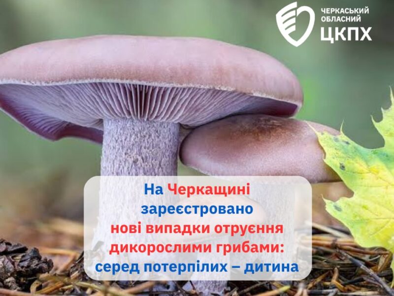 Чотири нові випадки отруєння грибами зафіксували у Черкаській області