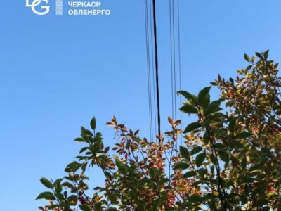 В АТ “Черкасиобленерго” нагадують про умови утримання зелених насаджень в охоронних зонах ліній електропередачі