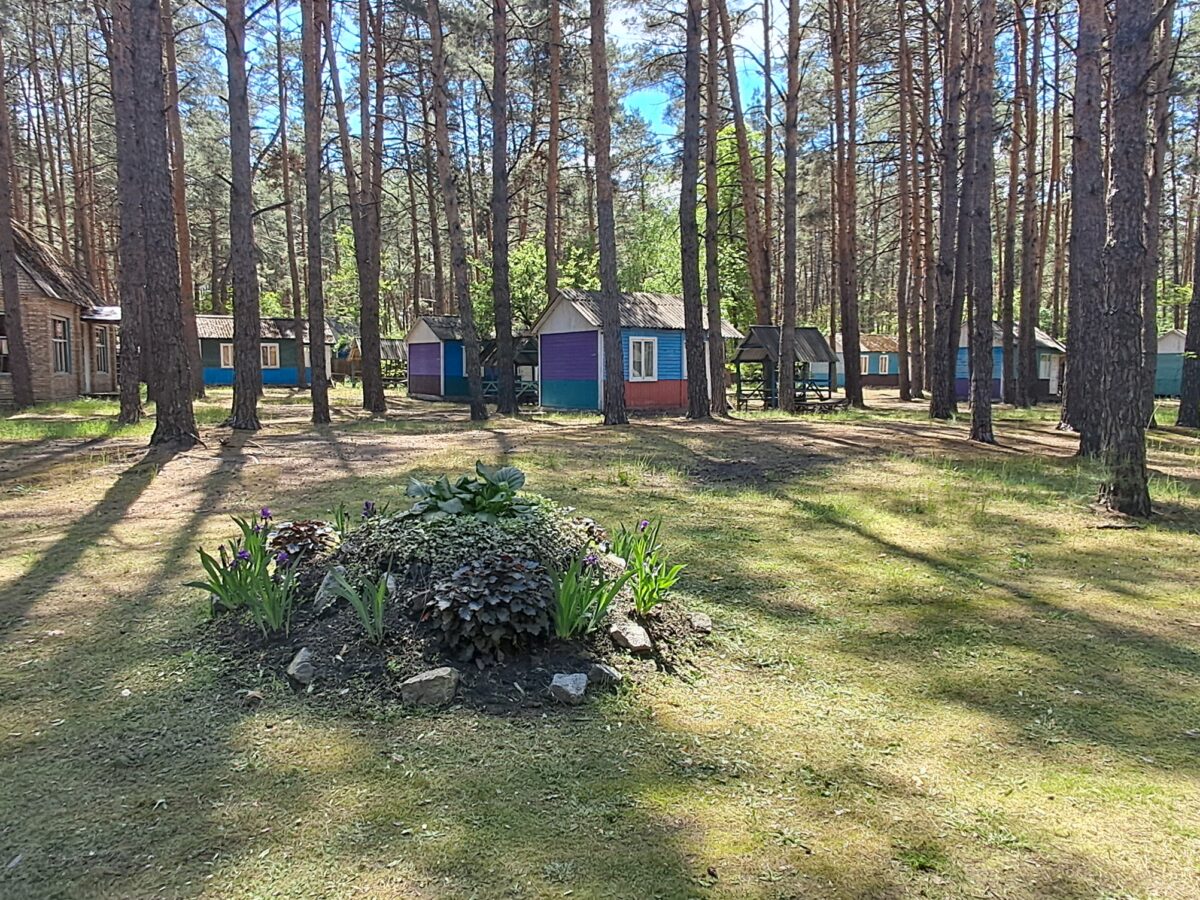 Під Черкасами через аукціон здають в оренду базу відпочинку: будиночки, клуб, баня, майданчик для танців і магазин