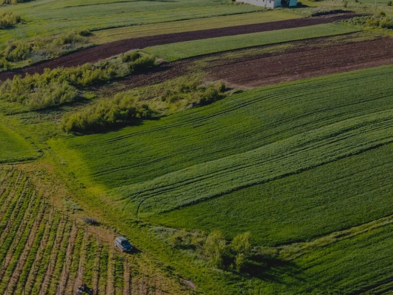 На Звенигородщині через суд громаді повернули незаконно передані земельні ділянки