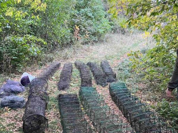 На Черкащині з річки вилучено 600 метрів браконьєрських сіток