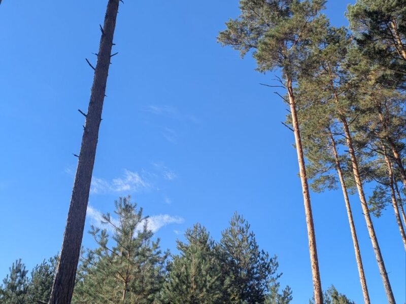 Вихідні 10 та 11 жовтня у Черкасах: де буде цікаво та пізнавально